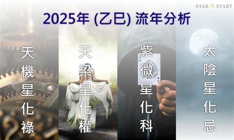 流日運勢|2025年，乙巳年，紫微斗數流年運勢分析，詳細介。